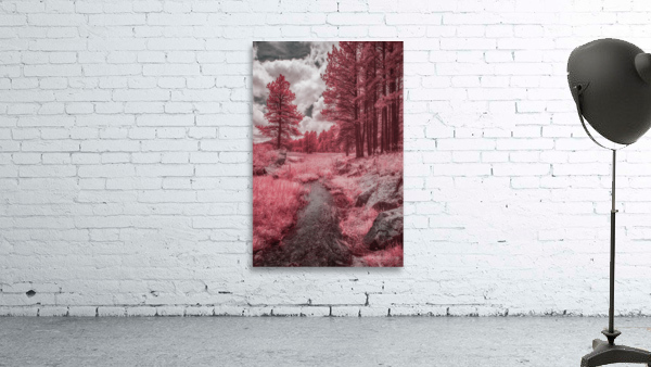 Red Meadow  Wall Preview