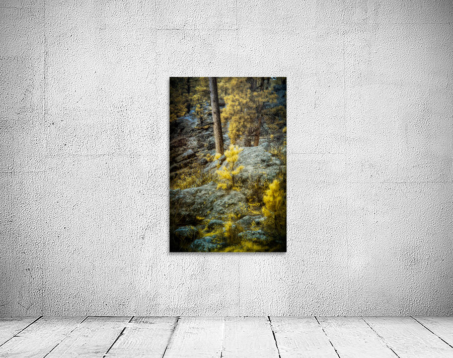 Solitude Amidst Serenity: The Lone Pine Tree by the Lake Wall Preview