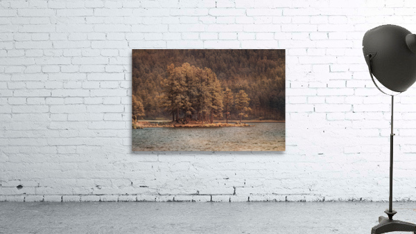 Forest Peninsula Wall Preview