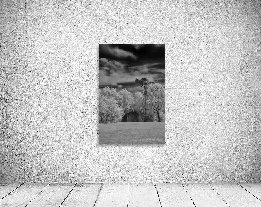 Sentinel of Prairie Dreams Wall Preview