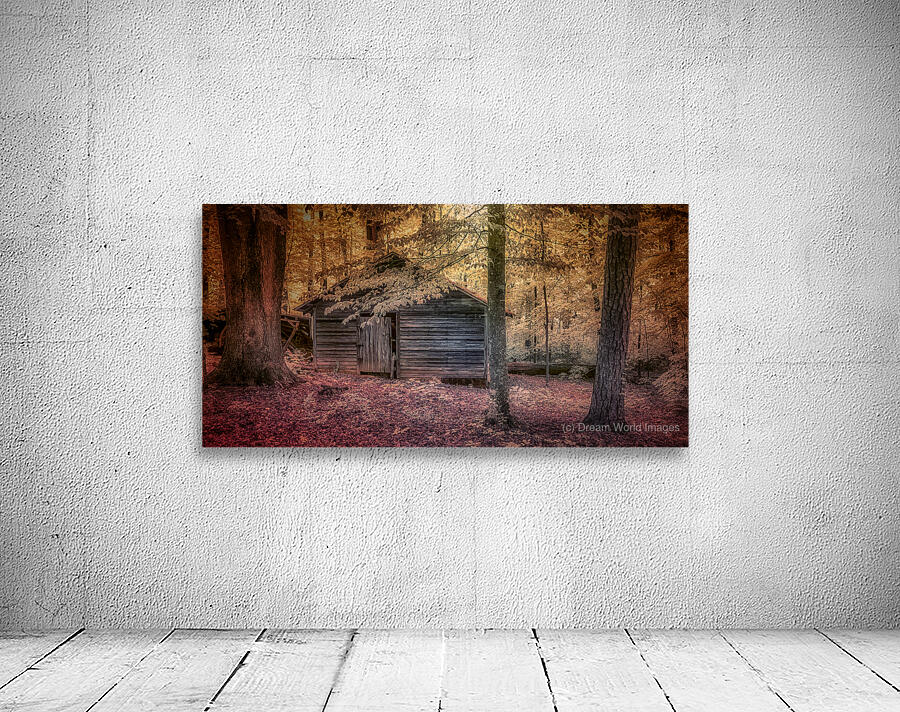 Abandoned Cabin Sanctuary Wall Preview