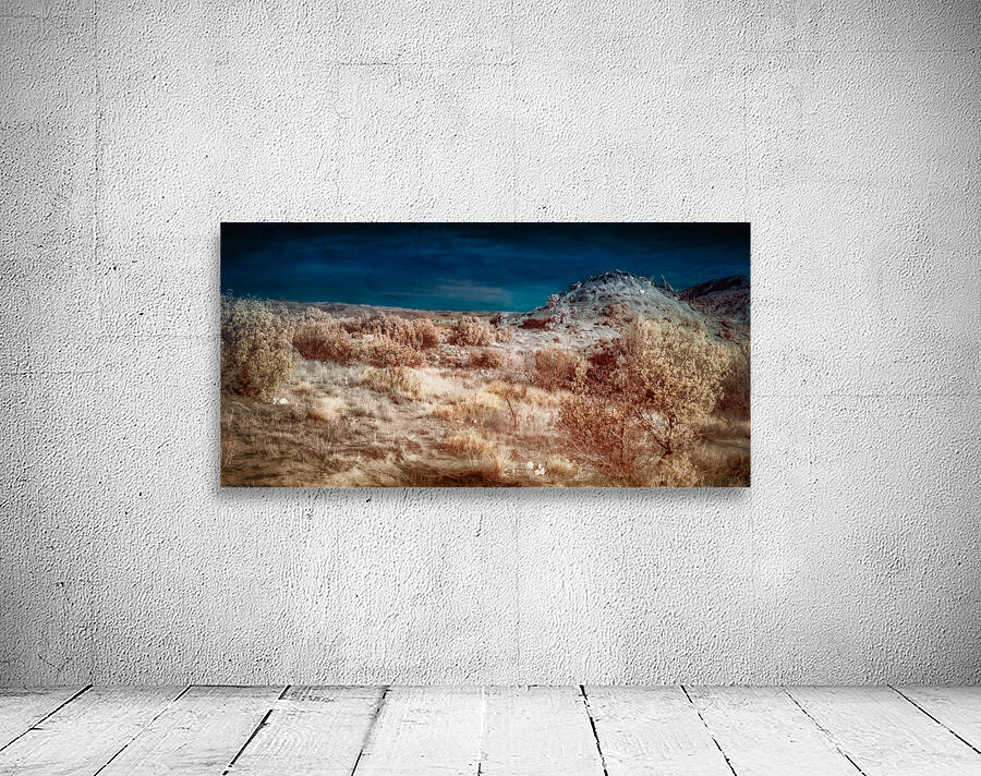 Palo Duro Dreamworld: Unveiling the Mysteries of Texas Hidden Gem Wall Preview