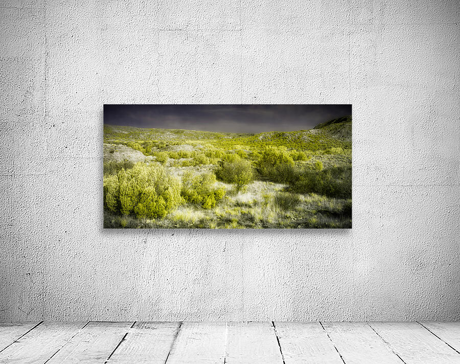 Shrubs and Trees in Secret Spectrum Wall Preview