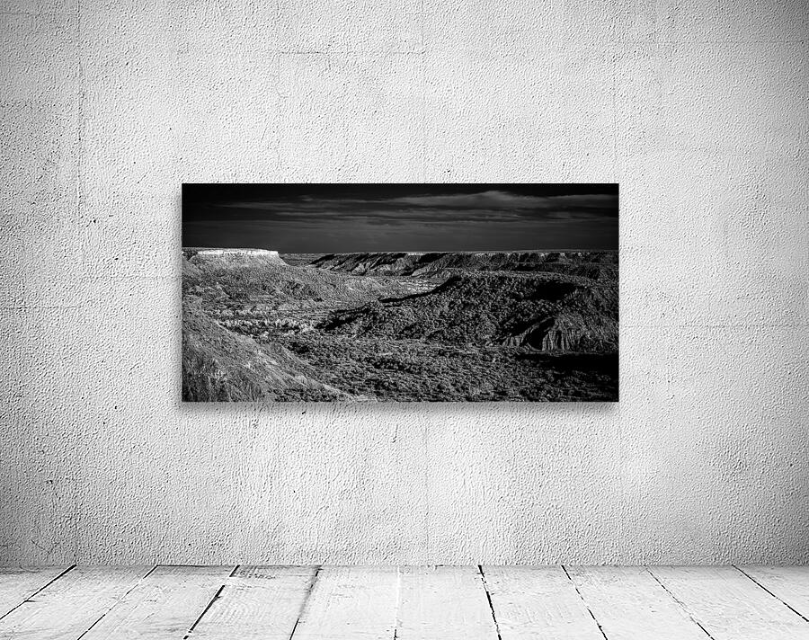 Unveiling Palo Duros Timeless Journey Wall Preview