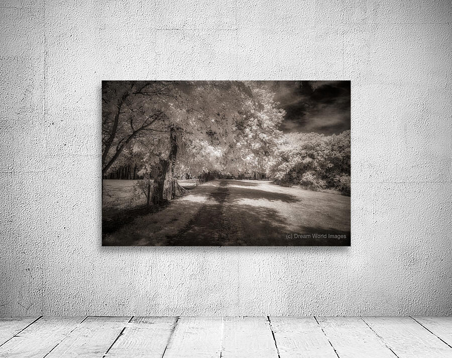 Invisible Texas Trail Wall Preview