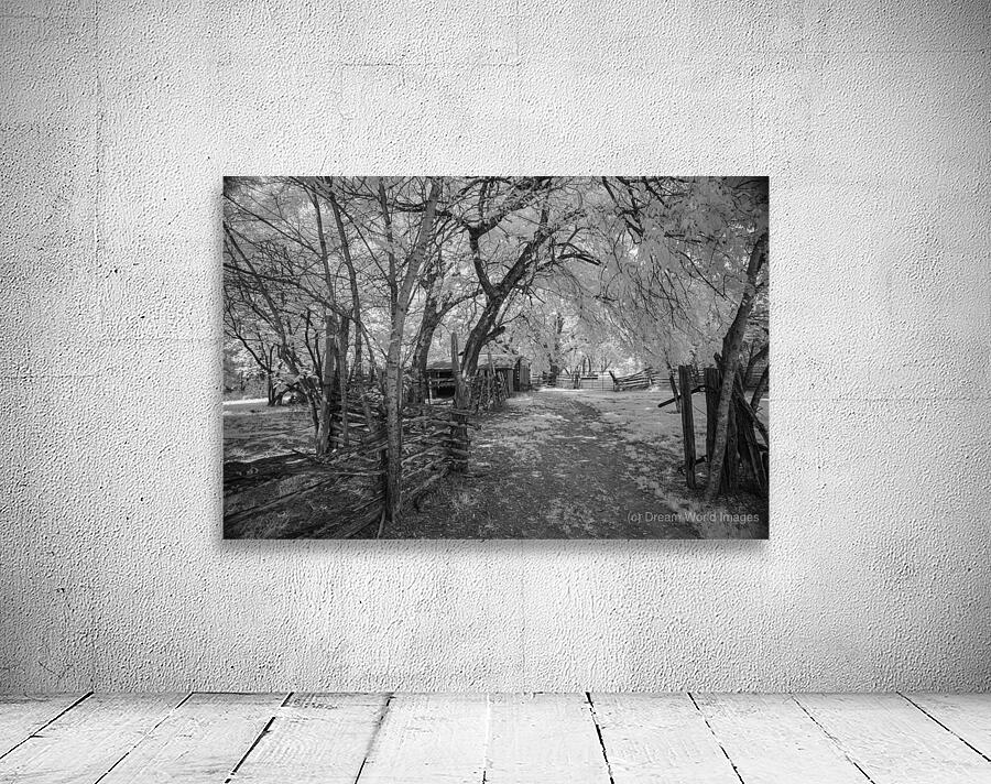 Farm path - 2 Wall Preview