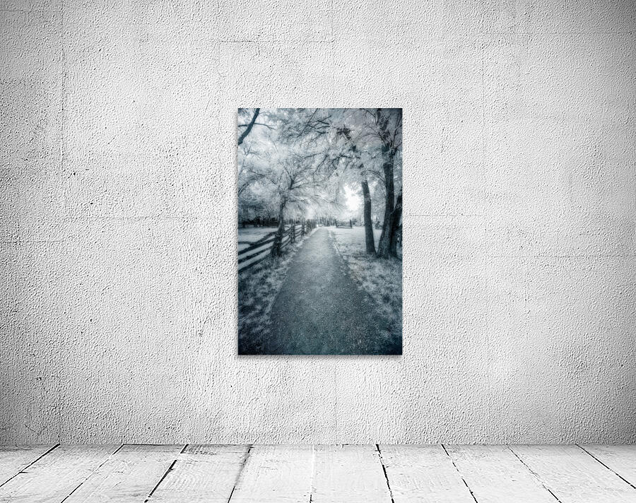 Rustic Reverie: Exploring the Historic Farm Trails Wall Preview