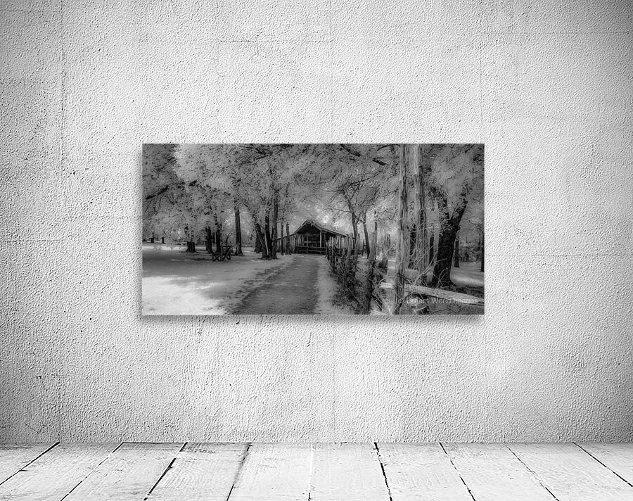 Barn Path Wall Preview