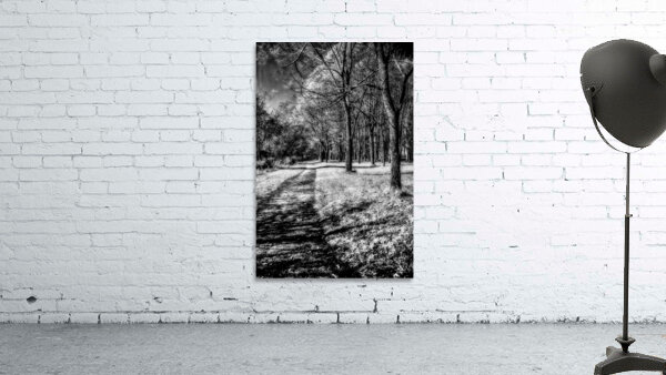 Enchanted Pathways: A Monochrome Overture Wall Preview