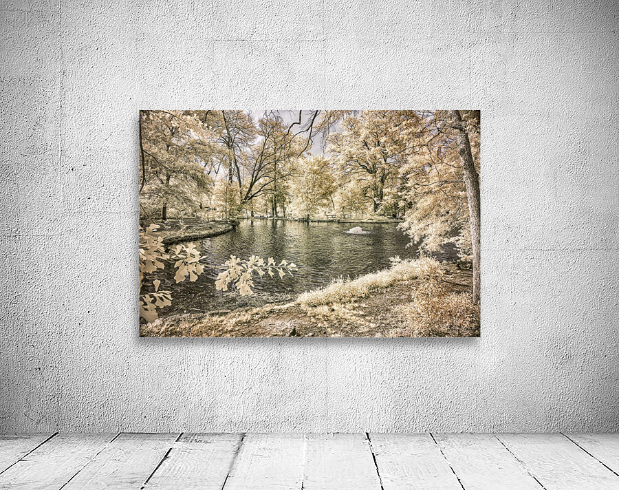 Lake Edge and Overhanging Branches: Sam Houston Site Wall Preview