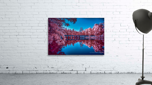 Infrared Oasis: Pink Arches Wall Preview