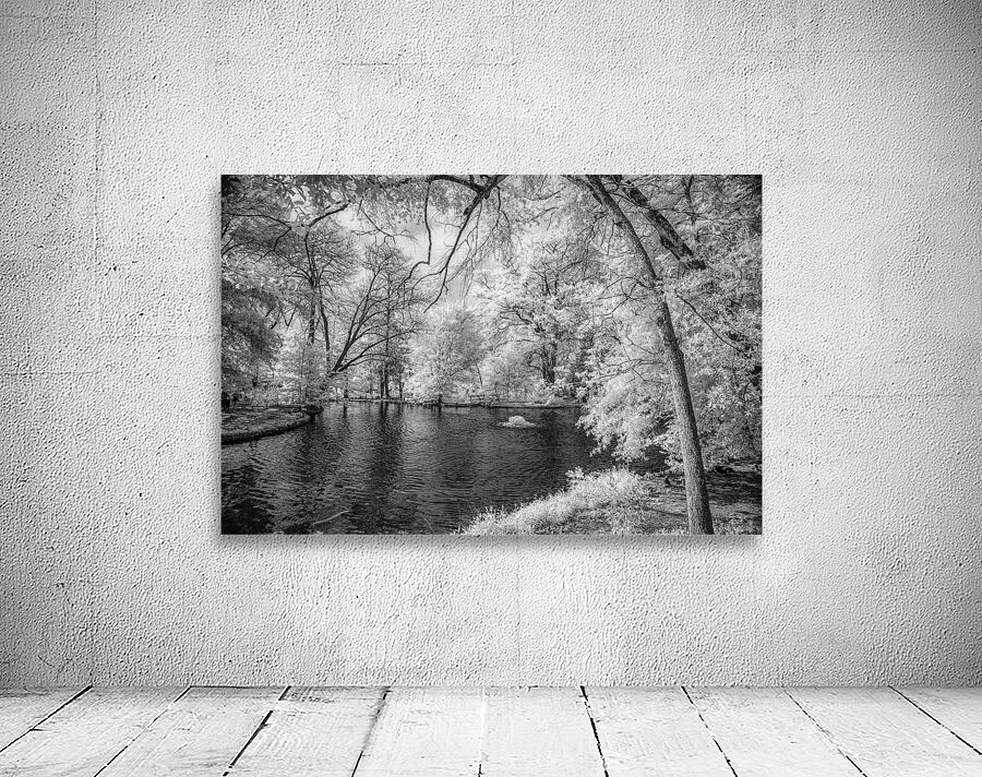 Sam Houstons Oasis Wall Preview