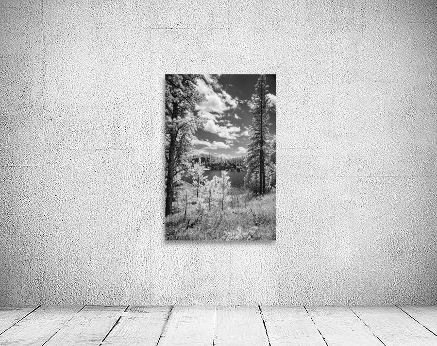 Sylvan Lakes Majesty: An Overview Wall Preview