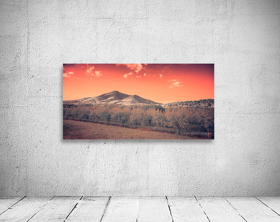 Orange Mountain Shine Wall Preview