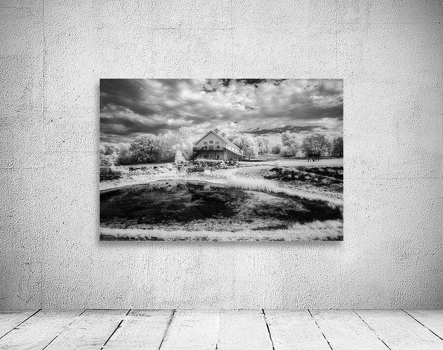 Ethereal Oasis: A Day at Bodega Winery Wall Preview