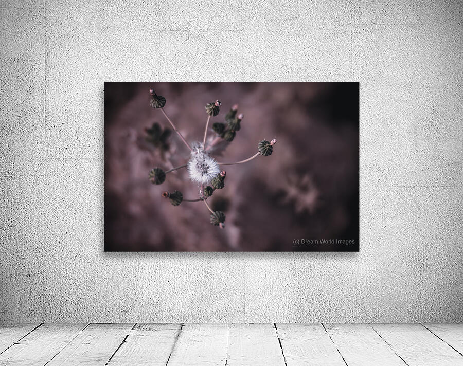 Whispers of Nature: Capturing the Essence of Dandelion Seeds Wall Preview