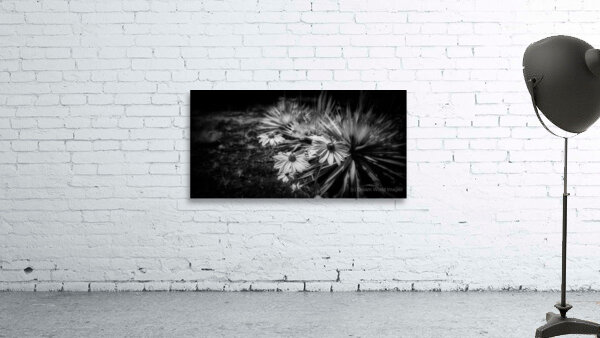 Flowery Wall Preview