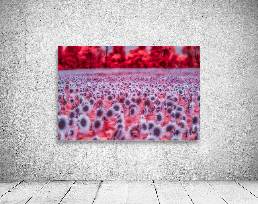 Pink Sunflowers Wall Preview