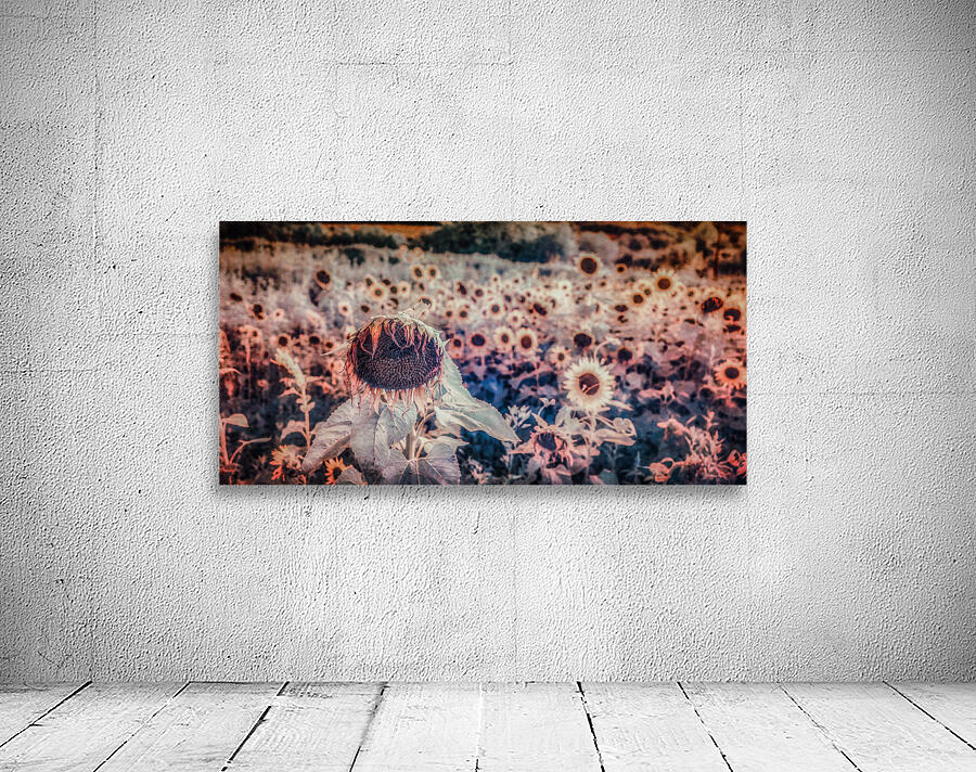 Sunflowers Last Waltz Wall Preview