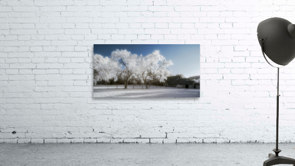 Surreal Barnyard: Glowing Trees in Texas Wall Preview