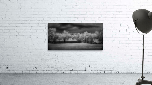 Moody Moments: Texas Roadside Pond Wall Preview