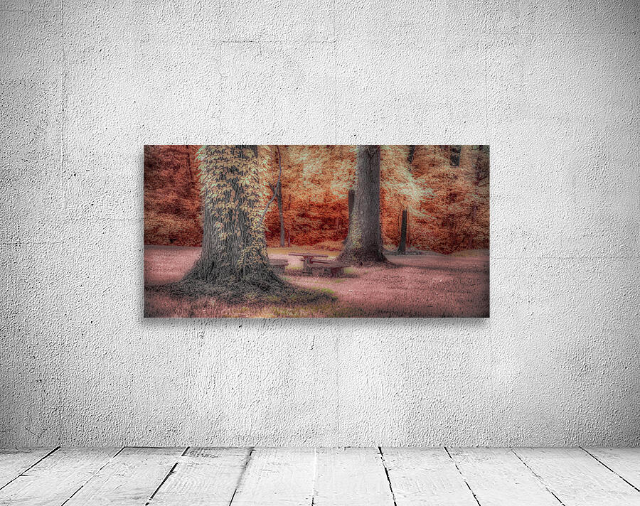 Aunts Oasis: Discovering the Dreamy Charm of a Color Infrared Patio Set in Tennessee Wall Preview