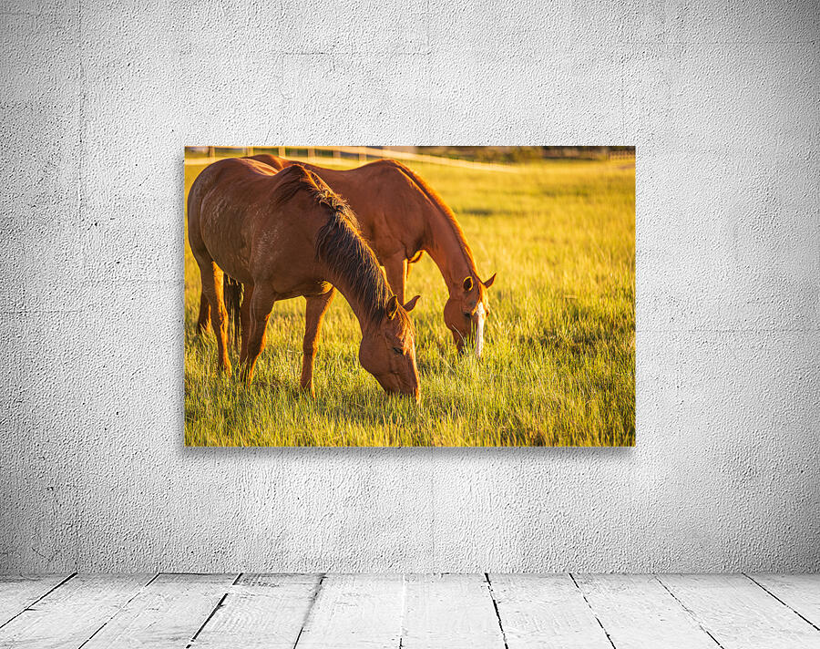 Golden Grazing Wall Preview