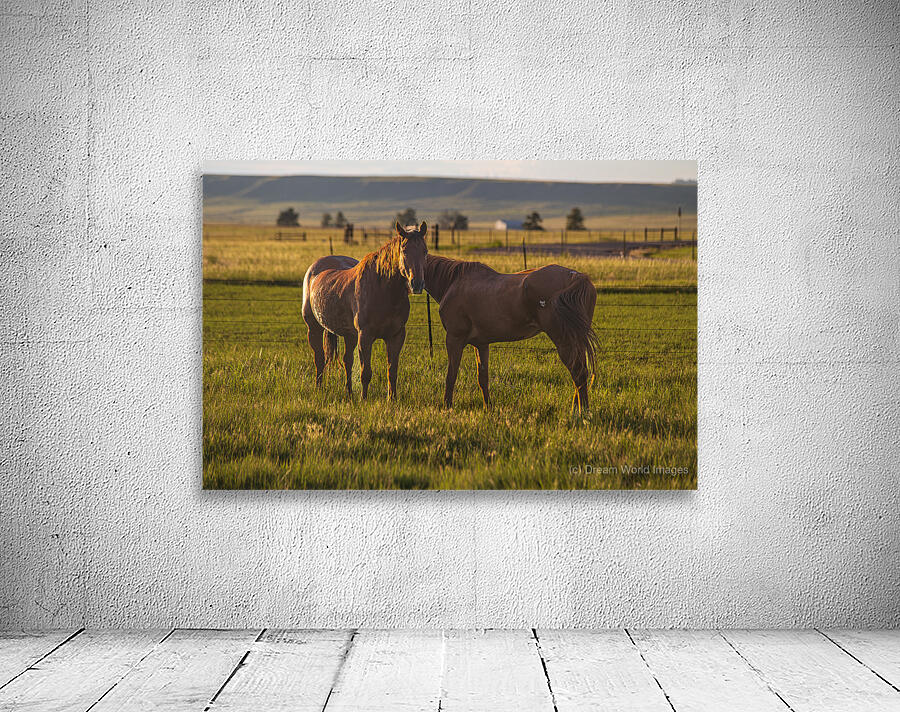 Equine Harmony in Billings Wall Preview