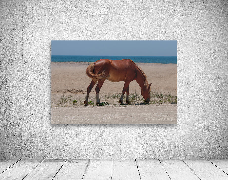 Coastal Grazing Wall Preview