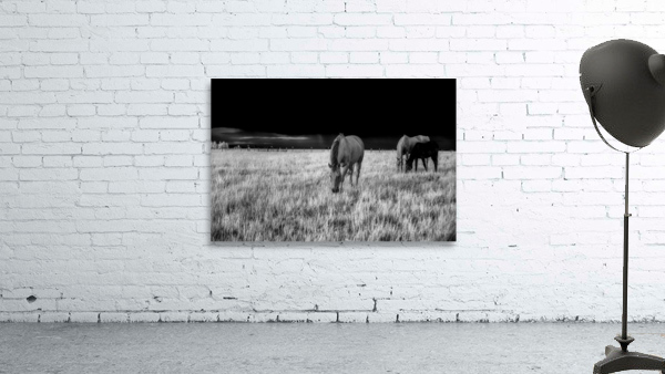 Tranquil Pastoral Serenity Wall Preview