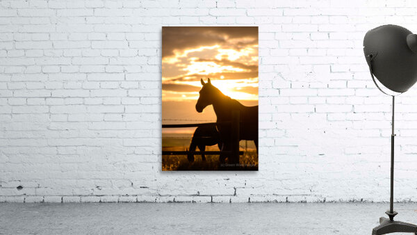 Sillouhette of Ernie Wall Preview