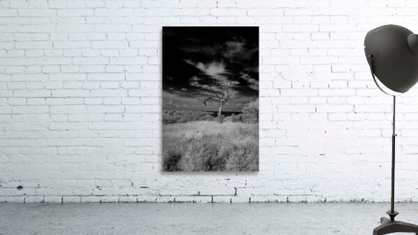 Symphony of Light and Shadow Wall Preview