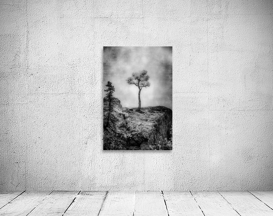 Serene Sylvan Lake: Alone on the Hill Wall Preview