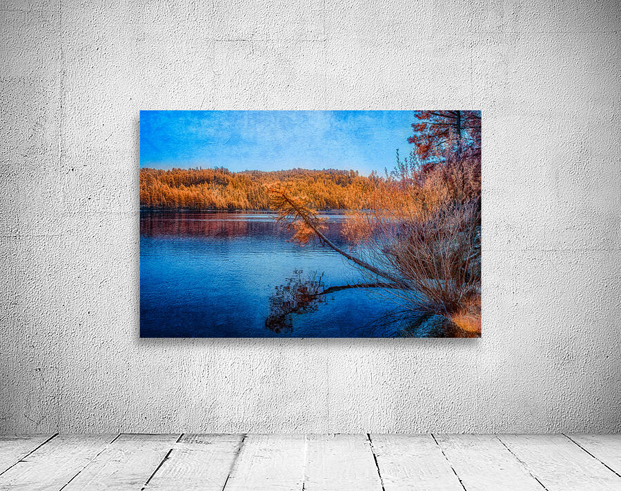 Arboreal Embrace: Trees Embracing the Tranquil Waters Wall Preview