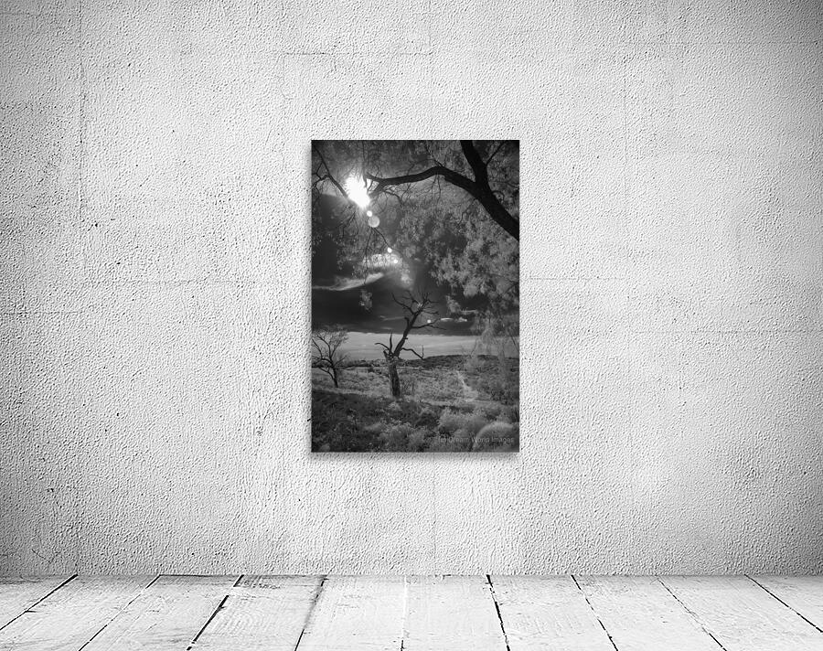 Dance of Light: Lone Sentinel at Dawn Wall Preview