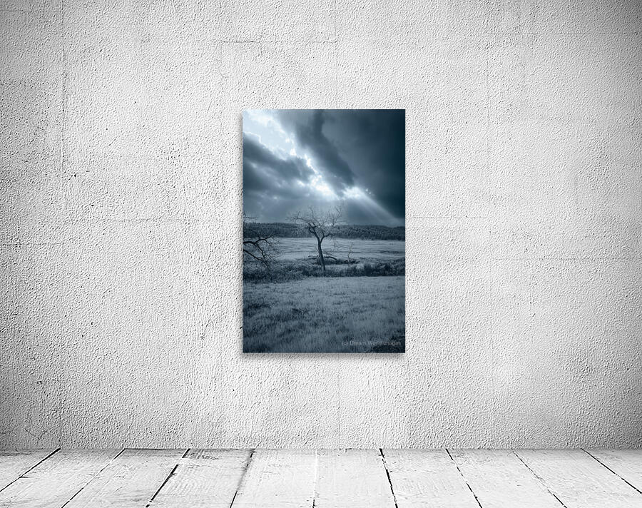 Solace in Solitude: A Blue Lighted Tree in Infrared Wall Preview