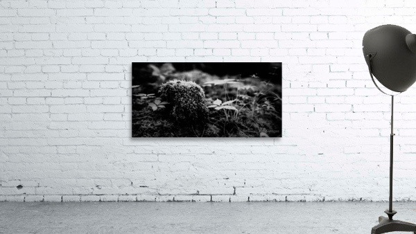 Mossy Whispers Wall Preview