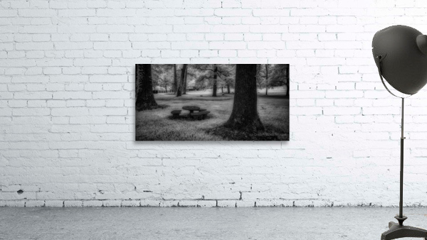 Picnic in Shadows Wall Preview