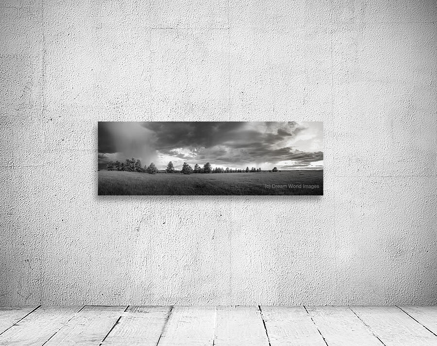 Montana Storm Wall Preview