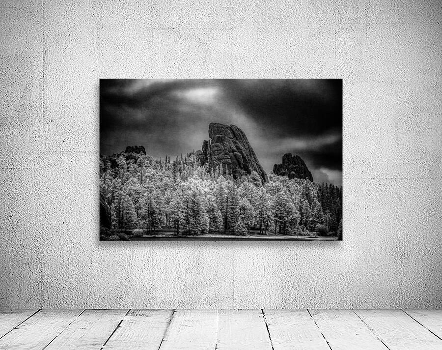 Sylvan Shadows: A Moody Encounter with Natures Drama in Custer State Park Wall Preview