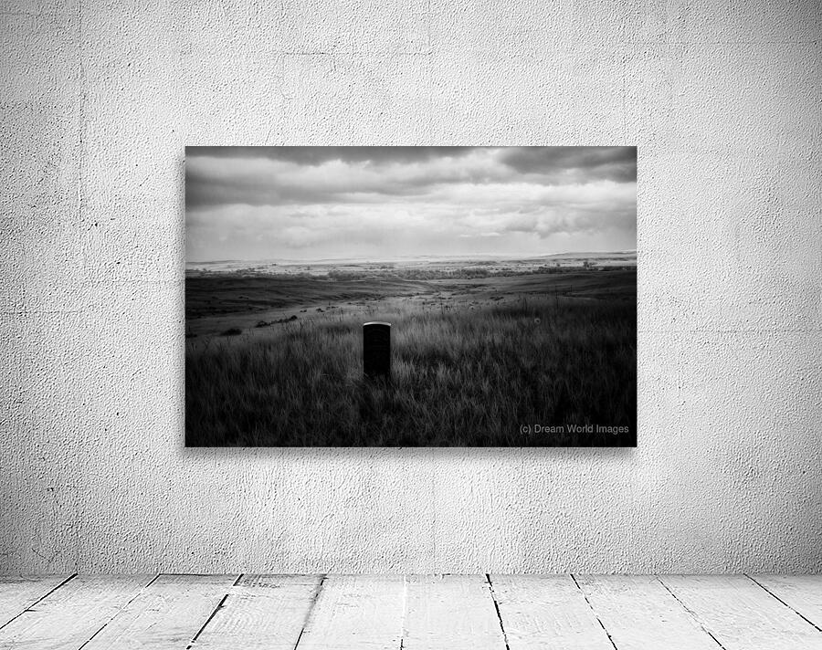 Alone Forever Wall Preview