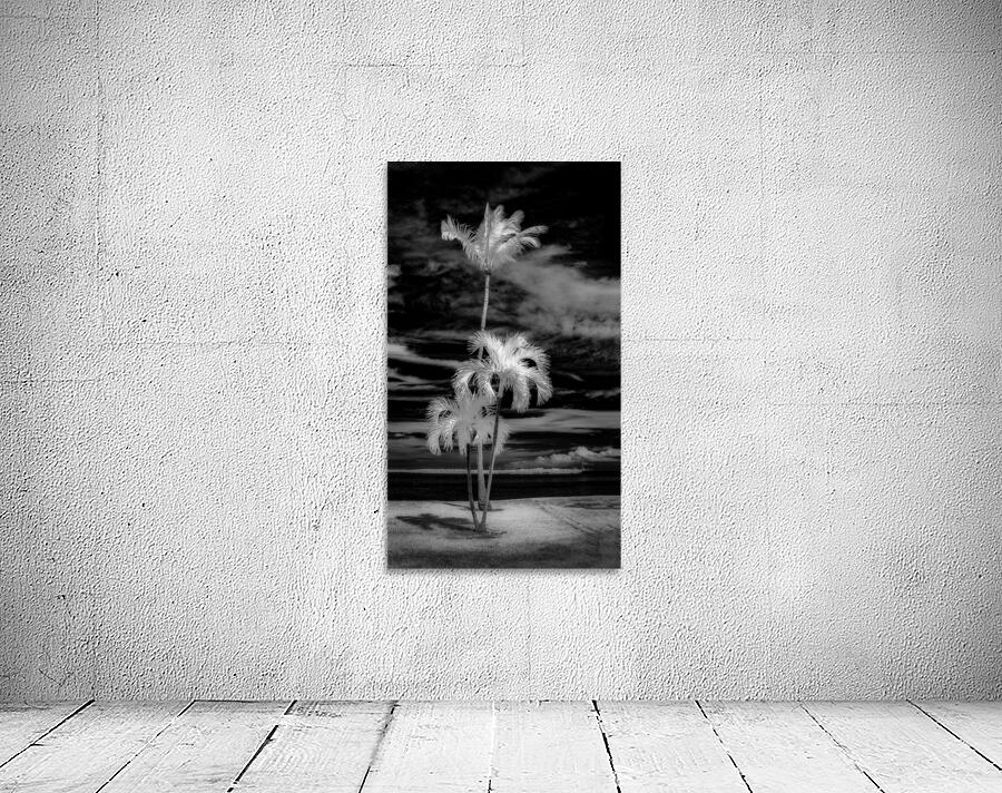 Texture of the Tropics Wall Preview