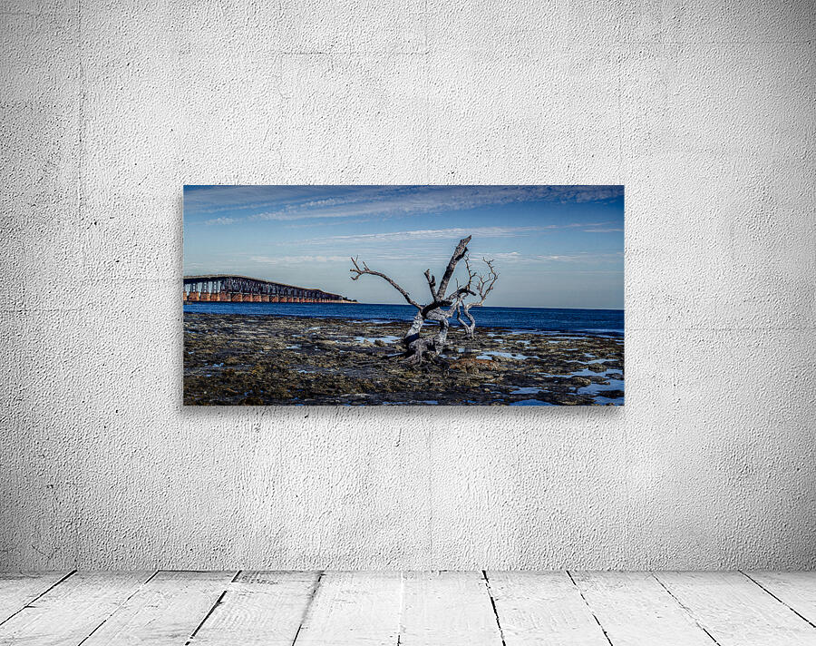 Capturing Serenity: The Tale of Hey Key - A Scenic Journey with Nature Wall Preview