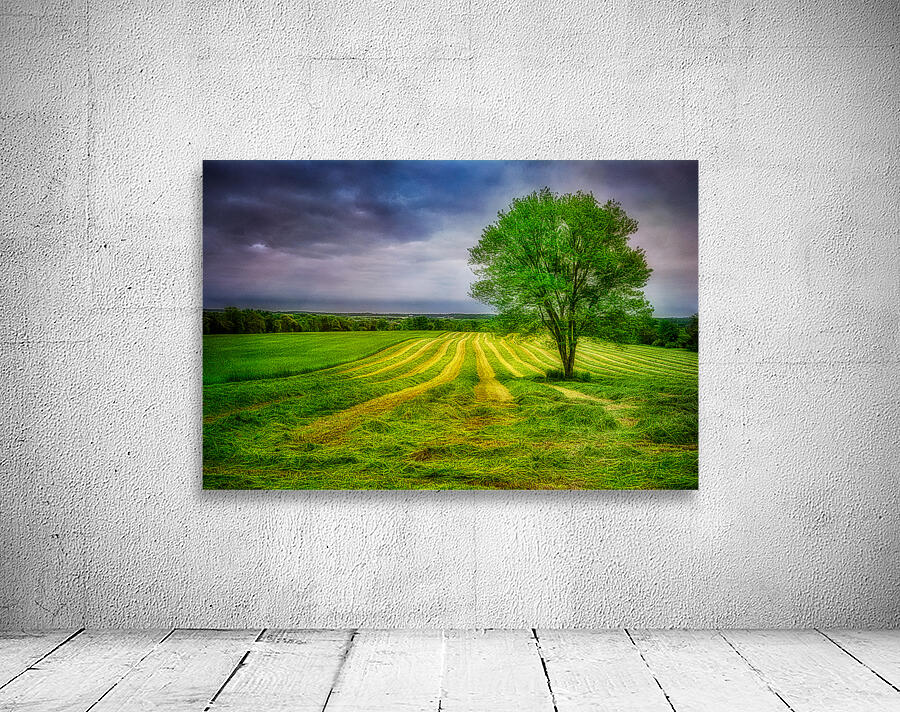 Verdant Harvest Wall Preview