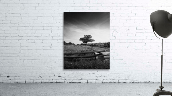 Capturing History: The Iconic Silhouette of the Devils Den Tree in Gettysburg Wall Preview