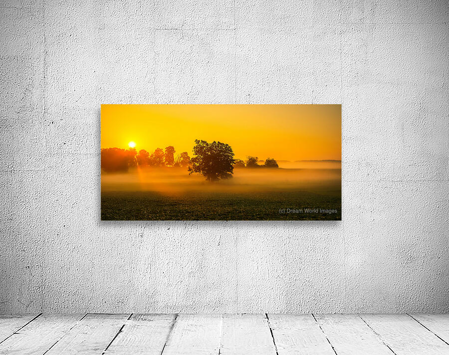 Dawns Embrace: Misty Tree in Gettysburg Wall Preview