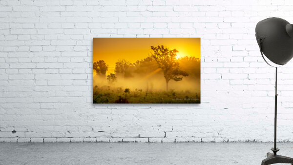 Misty Morning Glow: Dawn in Gettysburg Wall Preview