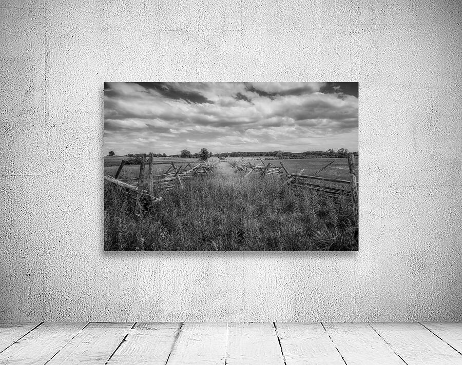 Pastoral Passage: Overgrown farm lane in Gettysburg Wall Preview