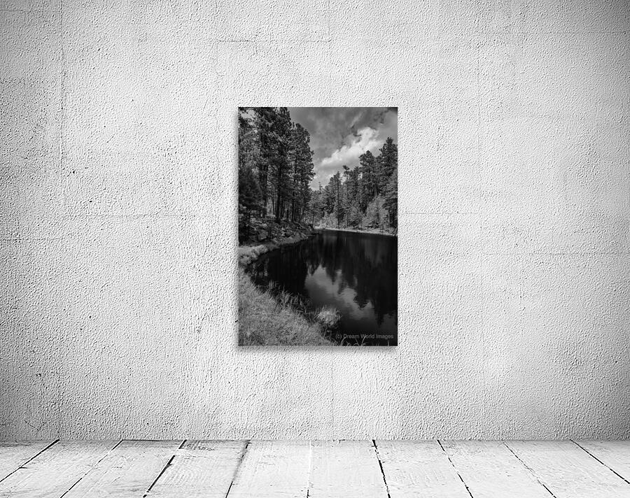 Captivating Vistas: Dreamy Waters of Grace Coolidge Lake Wall Preview