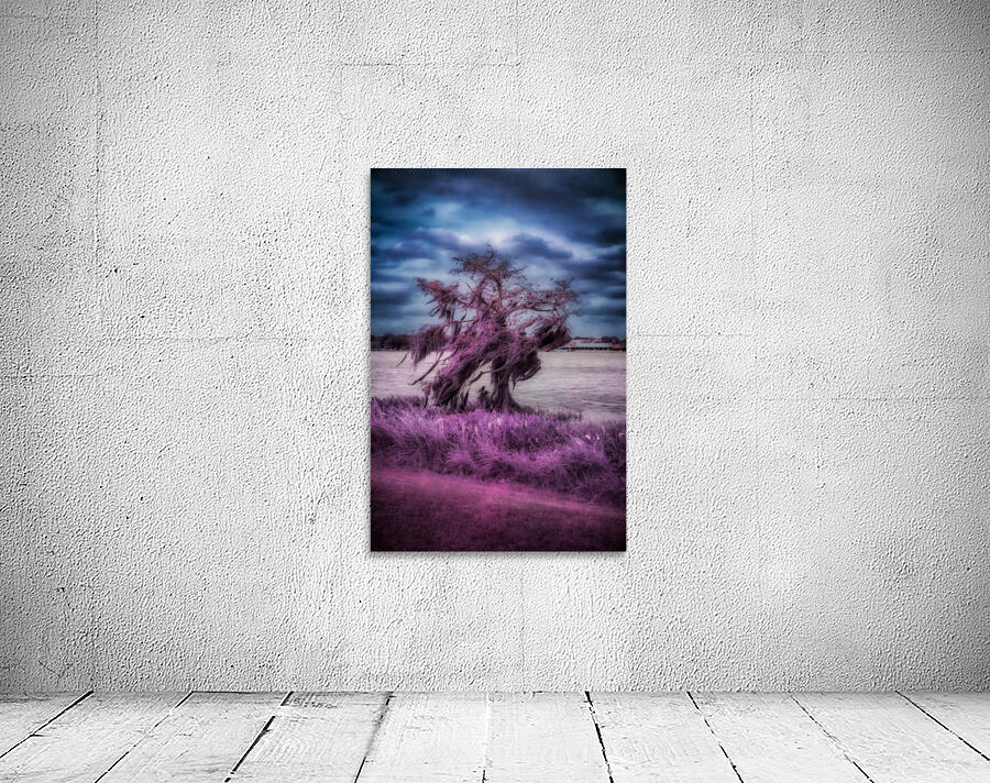 Purple Shelter: A Tranquil Stroll Through Venetian Gardens in Le Wall Preview